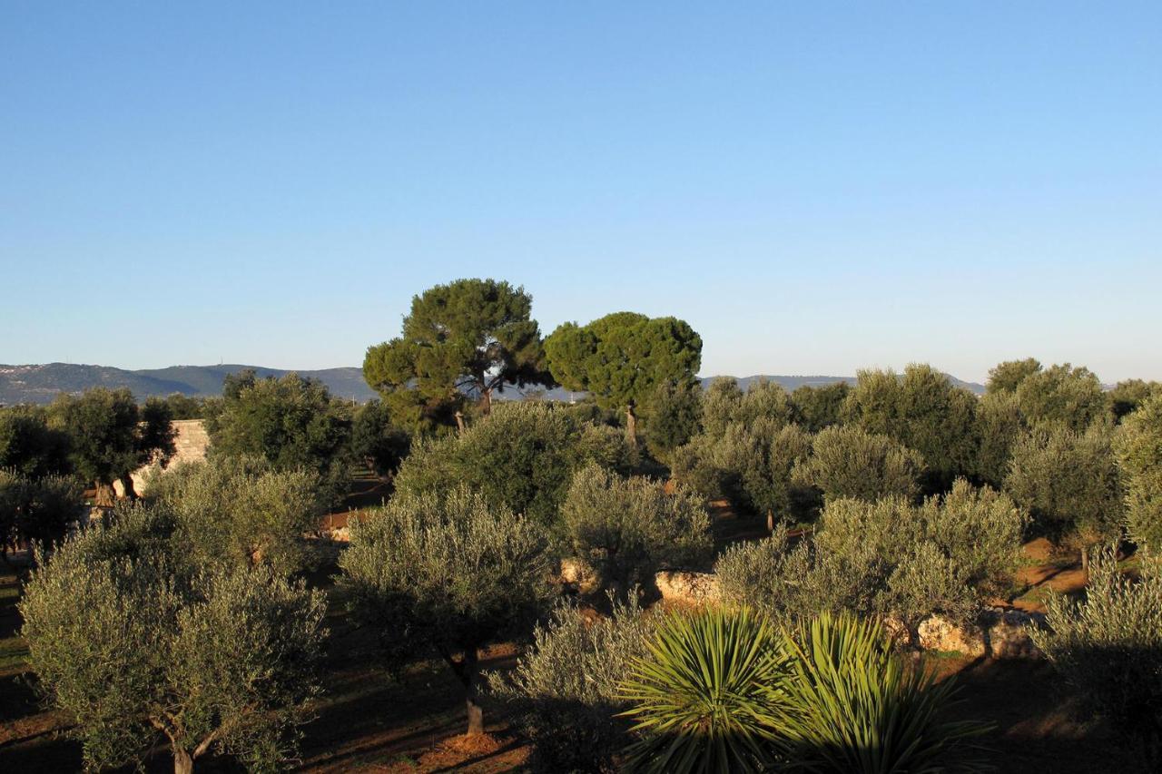 Boutique Hotel Masseria Sottomasi 萨维勒特里 外观 照片