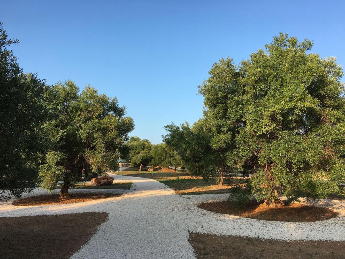 Boutique Hotel Masseria Sottomasi 萨维勒特里 外观 照片