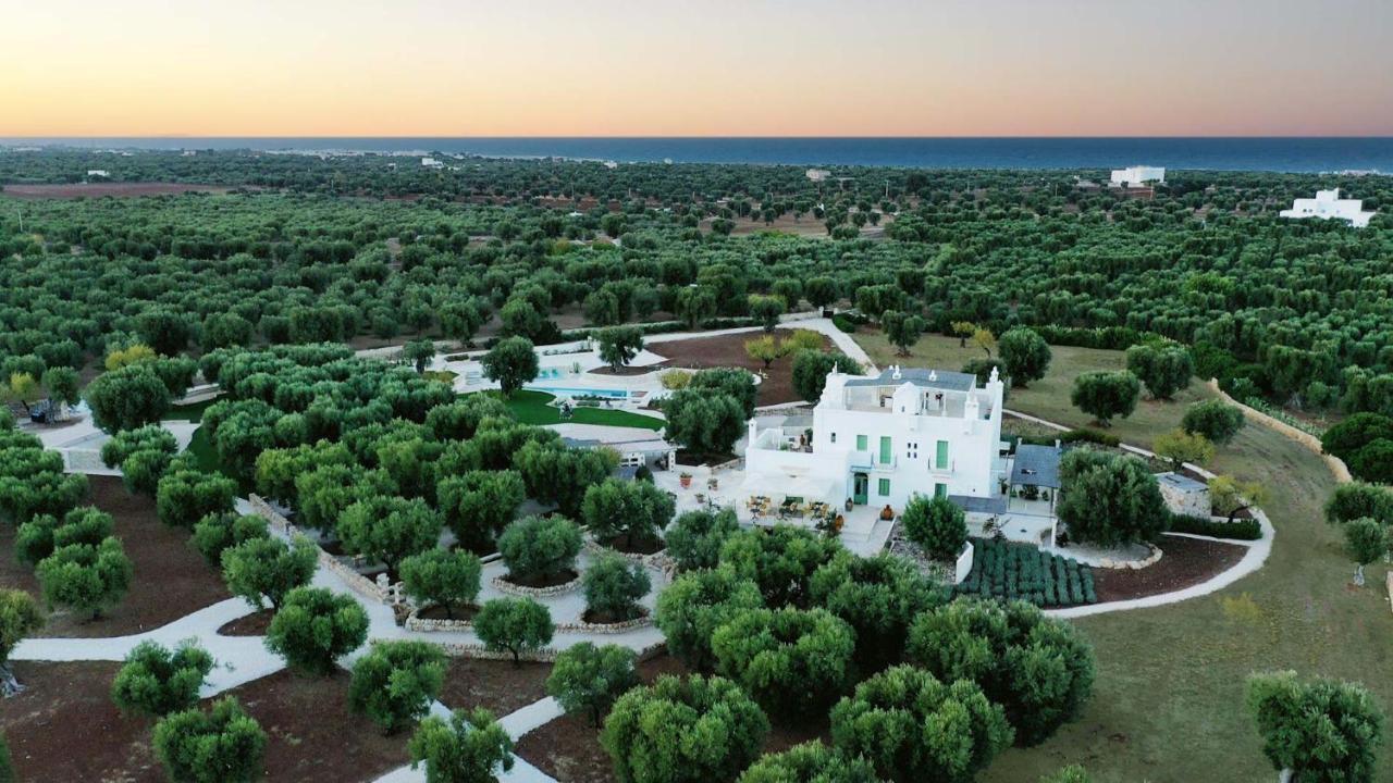 Boutique Hotel Masseria Sottomasi 萨维勒特里 外观 照片