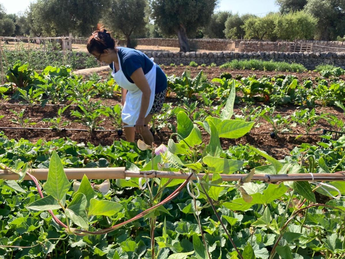 Boutique Hotel Masseria Sottomasi 萨维勒特里 外观 照片