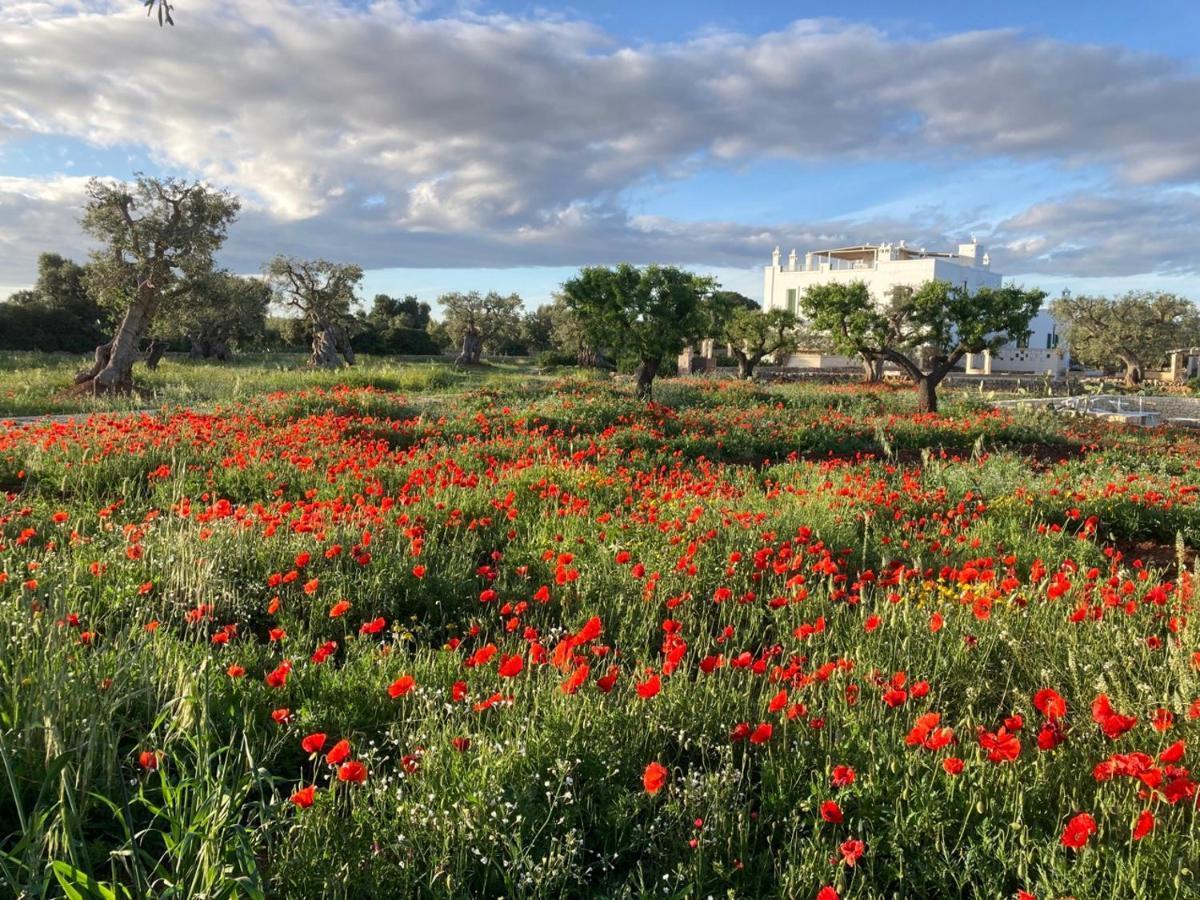 Boutique Hotel Masseria Sottomasi 萨维勒特里 外观 照片