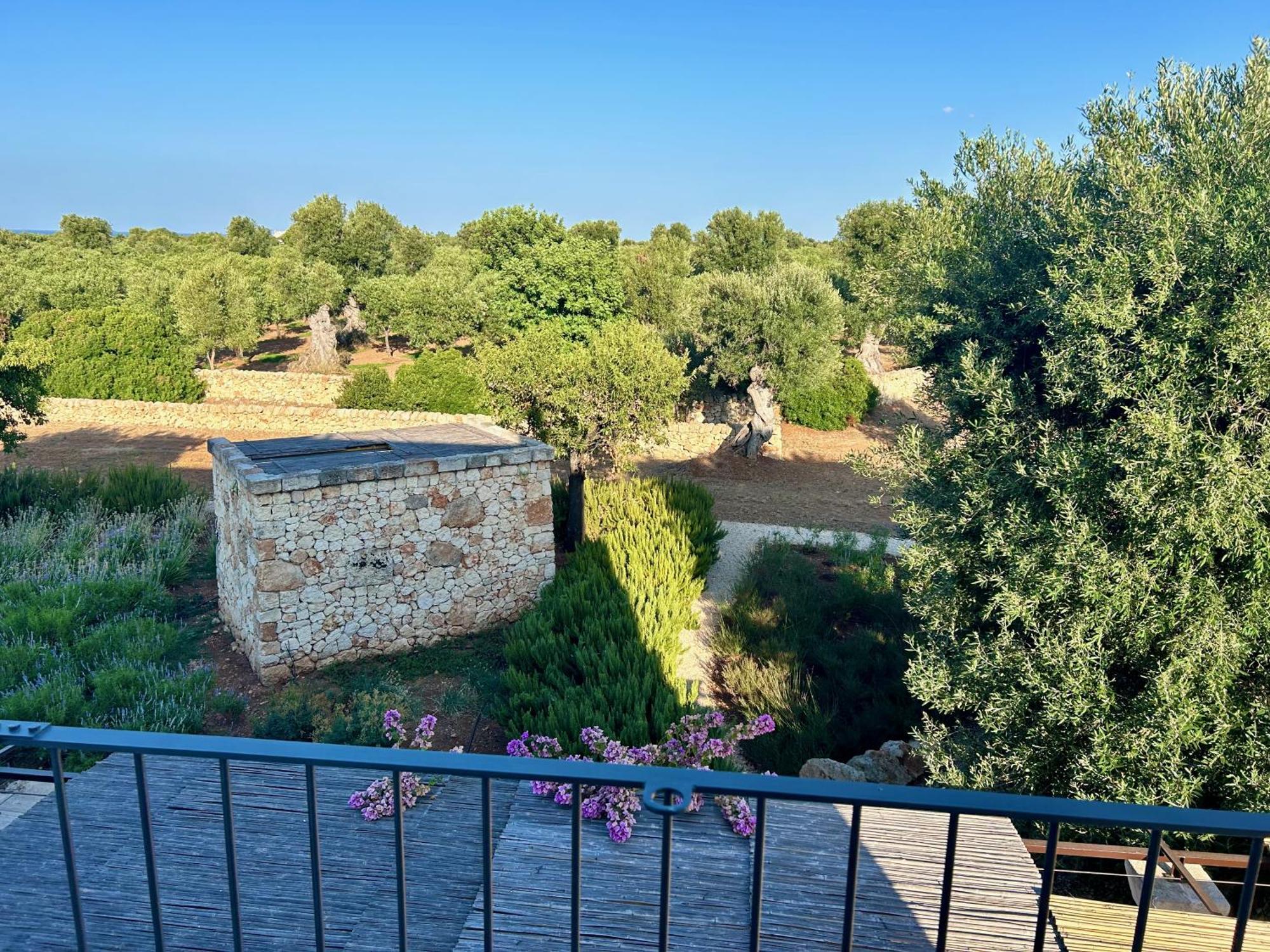 Boutique Hotel Masseria Sottomasi 萨维勒特里 外观 照片
