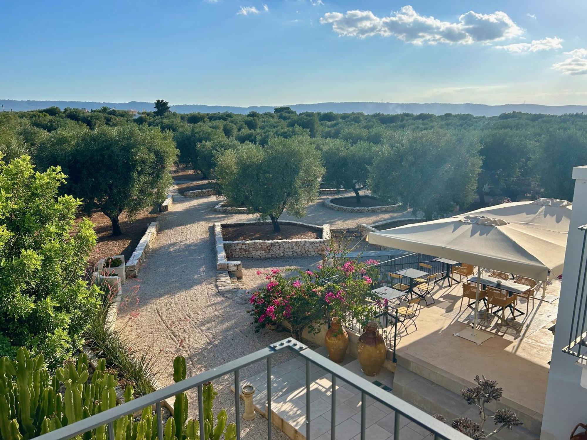 Boutique Hotel Masseria Sottomasi 萨维勒特里 外观 照片