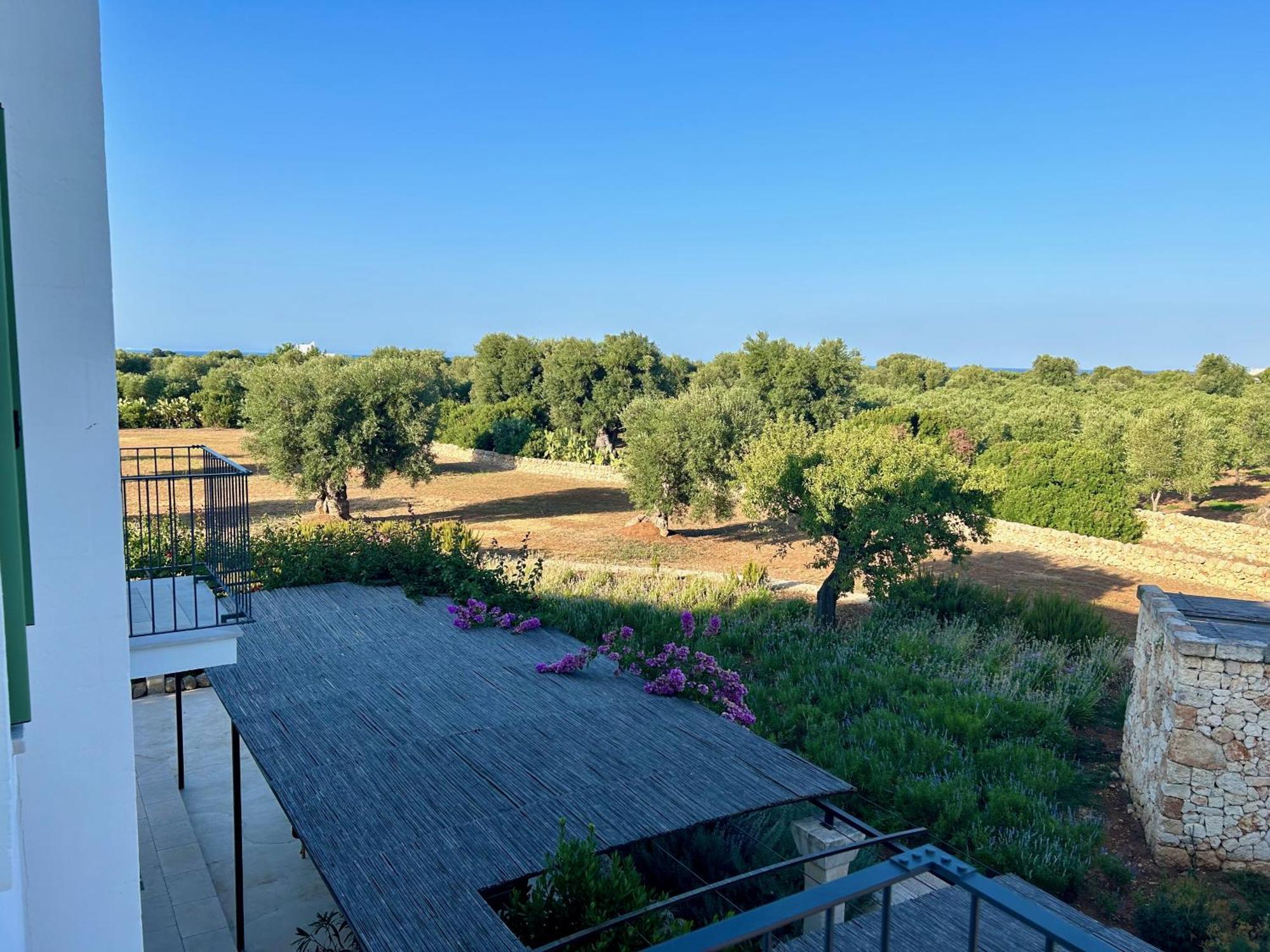 Boutique Hotel Masseria Sottomasi 萨维勒特里 外观 照片