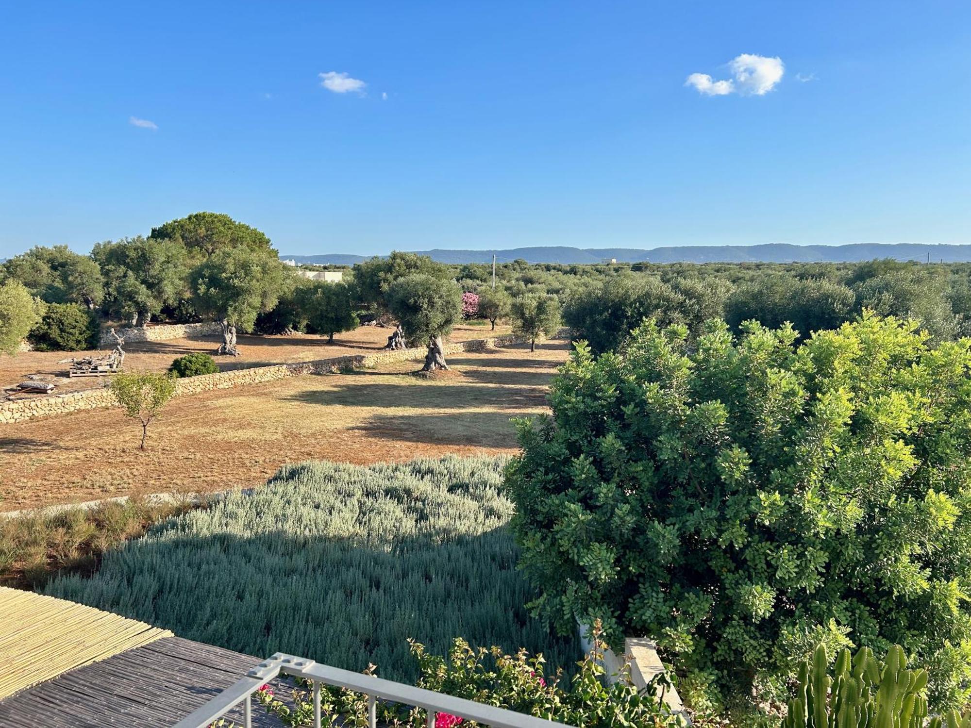 Boutique Hotel Masseria Sottomasi 萨维勒特里 外观 照片