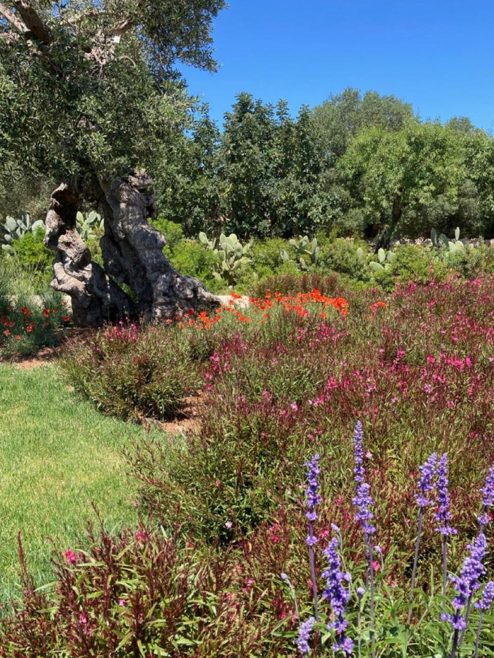 Boutique Hotel Masseria Sottomasi 萨维勒特里 外观 照片