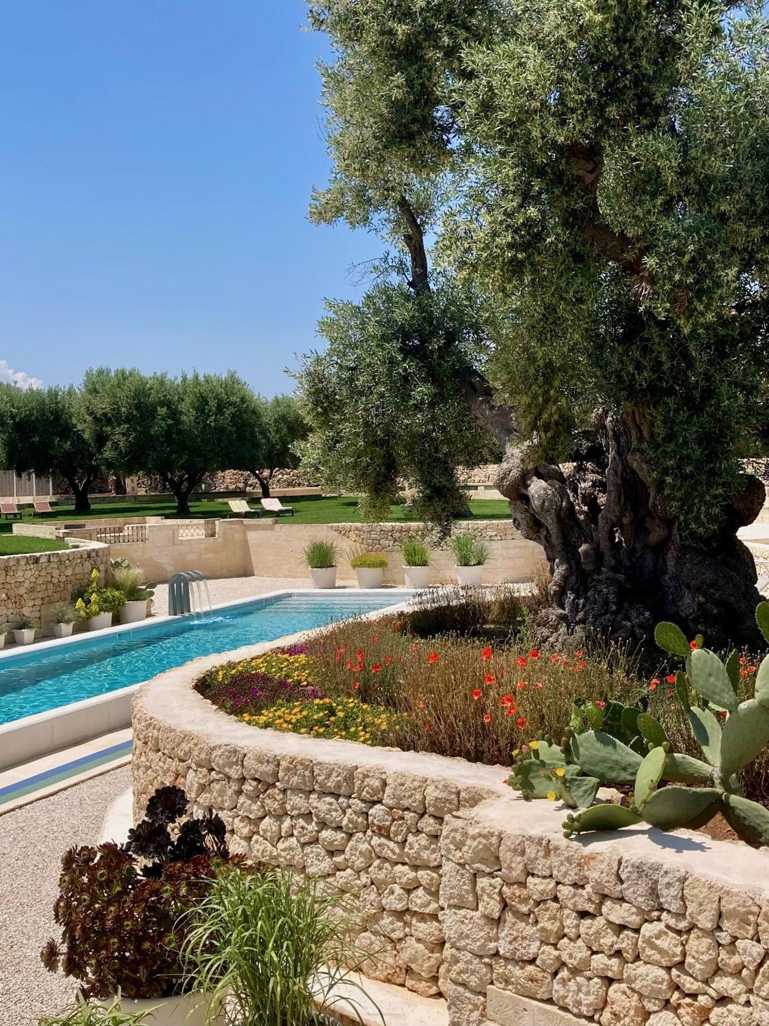 Boutique Hotel Masseria Sottomasi 萨维勒特里 外观 照片