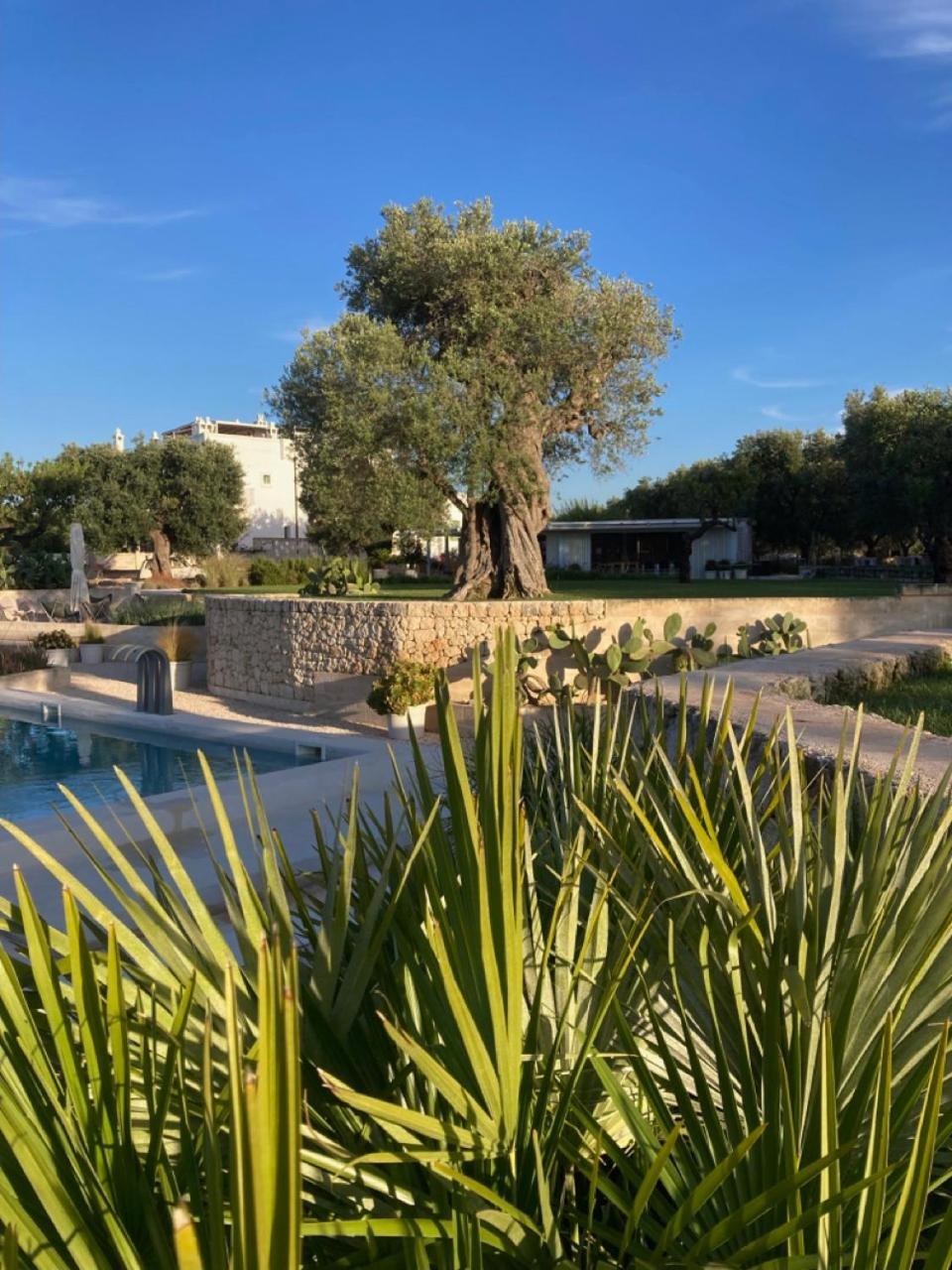 Boutique Hotel Masseria Sottomasi 萨维勒特里 外观 照片