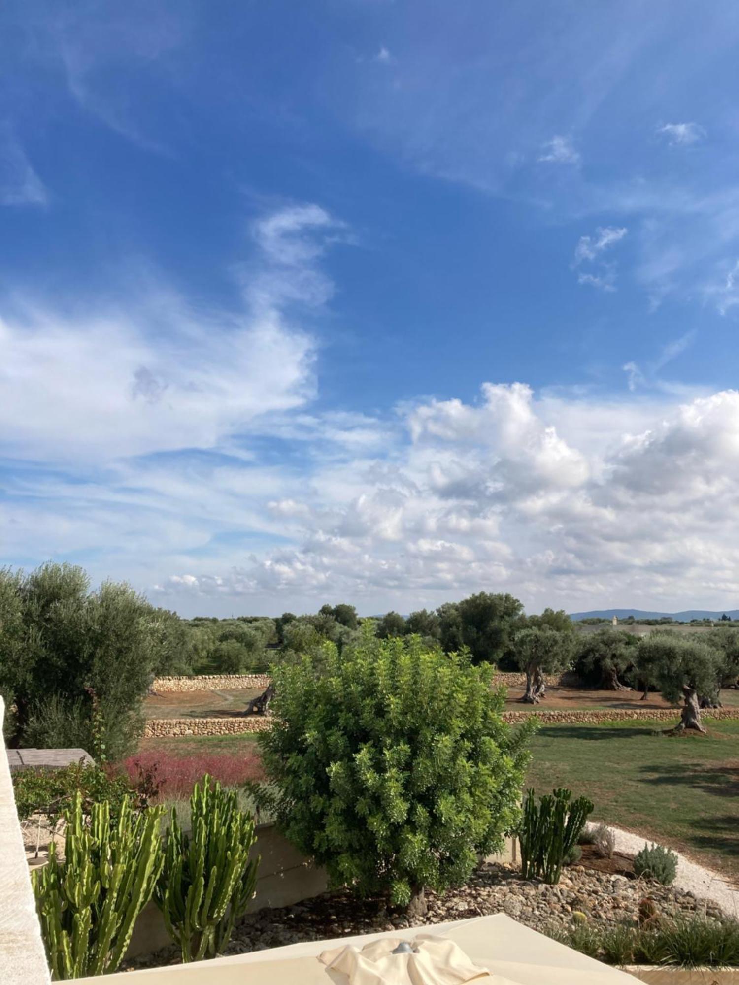 Boutique Hotel Masseria Sottomasi 萨维勒特里 外观 照片