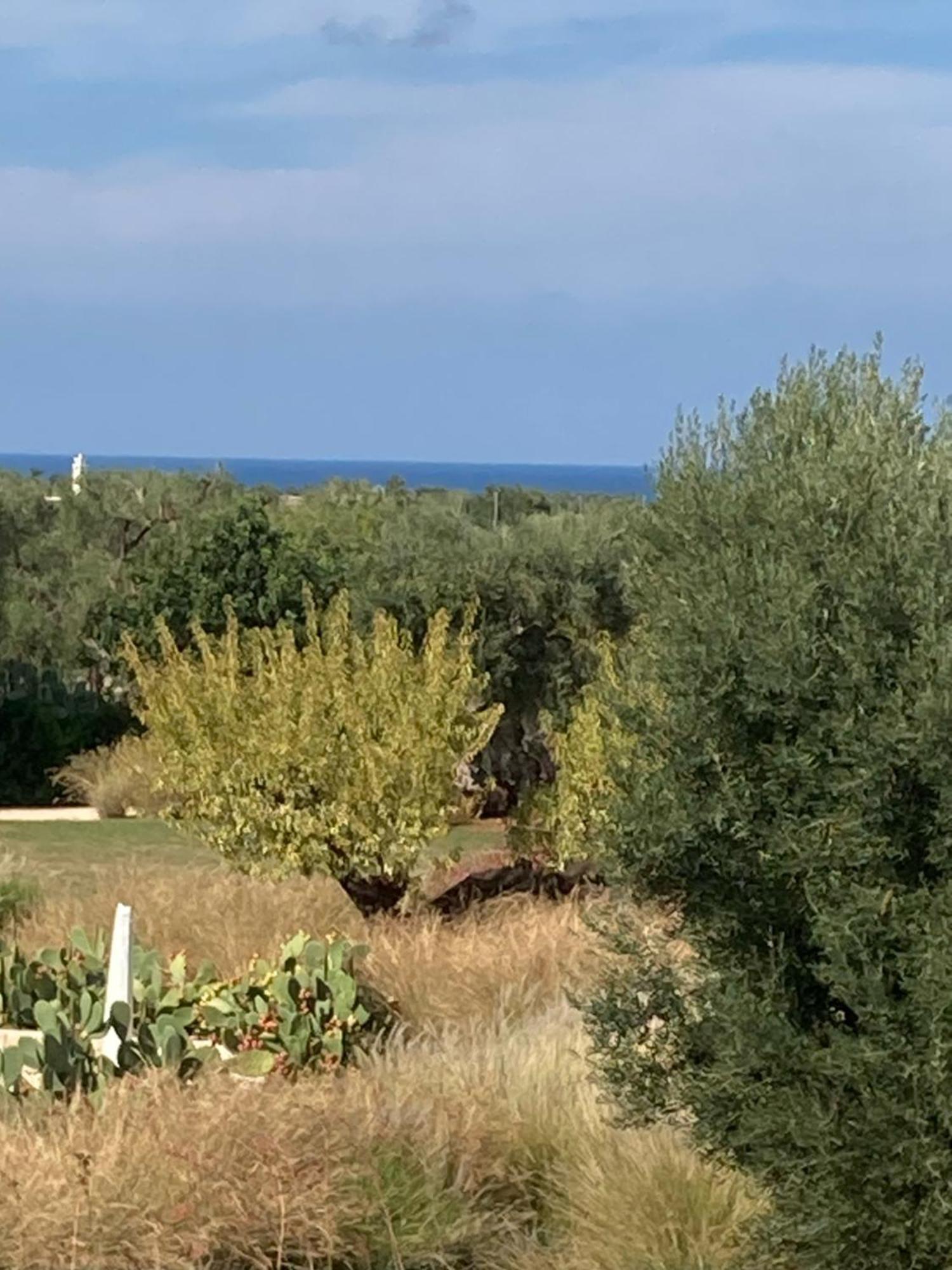Boutique Hotel Masseria Sottomasi 萨维勒特里 外观 照片